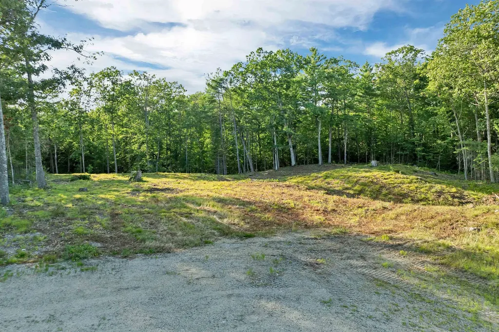 Lot 52 Remington Court Tuftonboro NH 03816