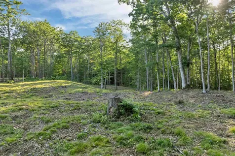 Lot 52 Remington Court Tuftonboro NH 03816