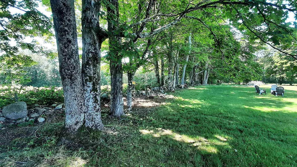 929 Packer Road Mount Holly VT 05758