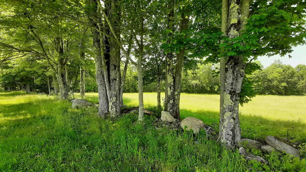 929 Packer Road Mount Holly VT 05758