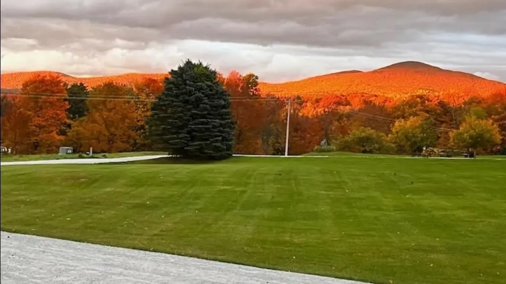 929 Packer Road Mount Holly VT 05758