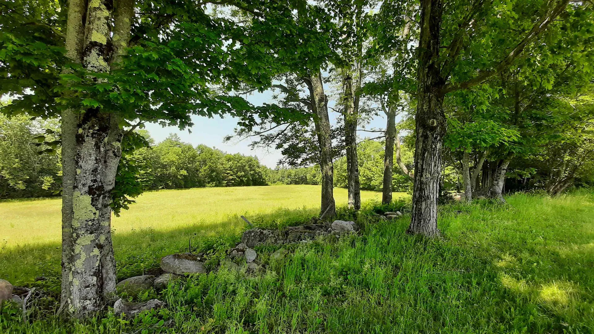 929 Packer Road Mount Holly VT 05758