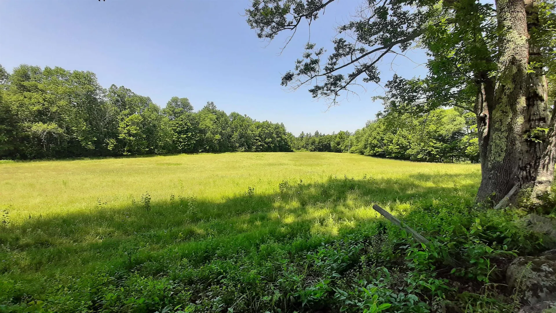 929 Packer Road Mount Holly VT 05758