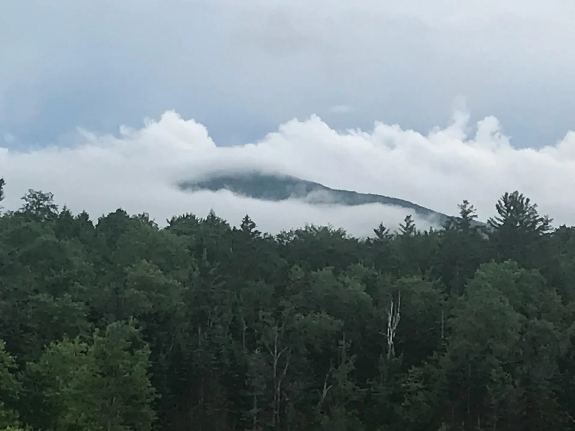 929 Packer Road Mount Holly VT 05758