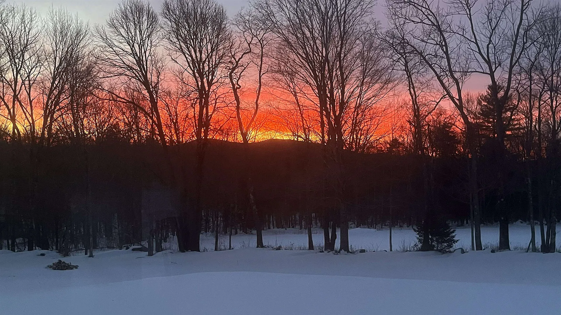 929 Packer Road Mount Holly VT 05758