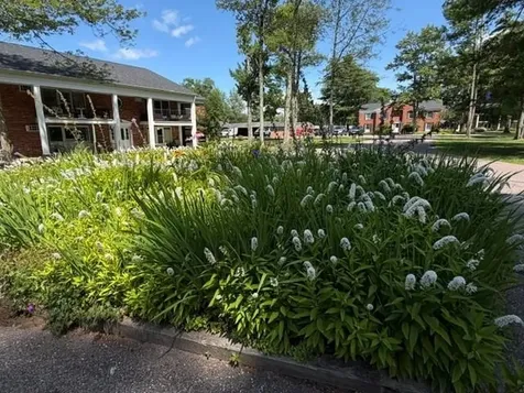 100 Kennedy Drive South Burlington VT 05403