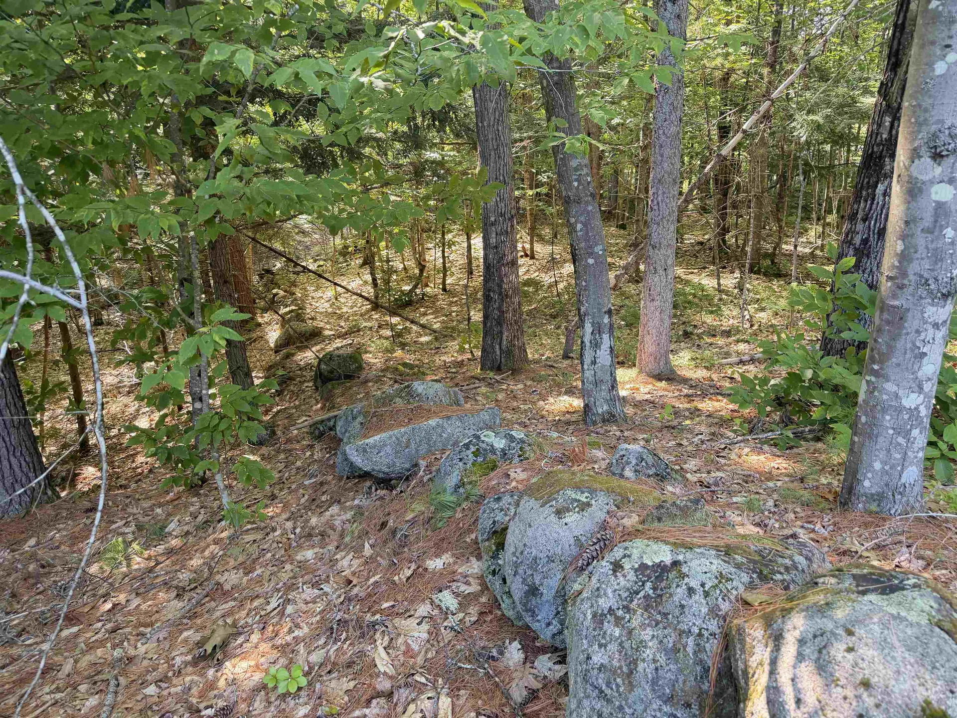 000 Alden Washburn Drive Tamworth NH 03886