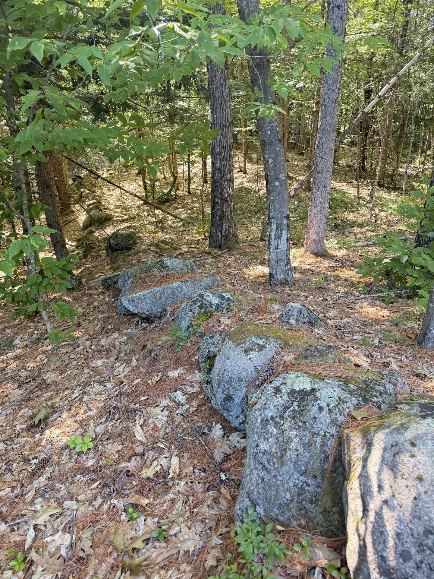 000 Alden Washburn Drive Tamworth NH 03886