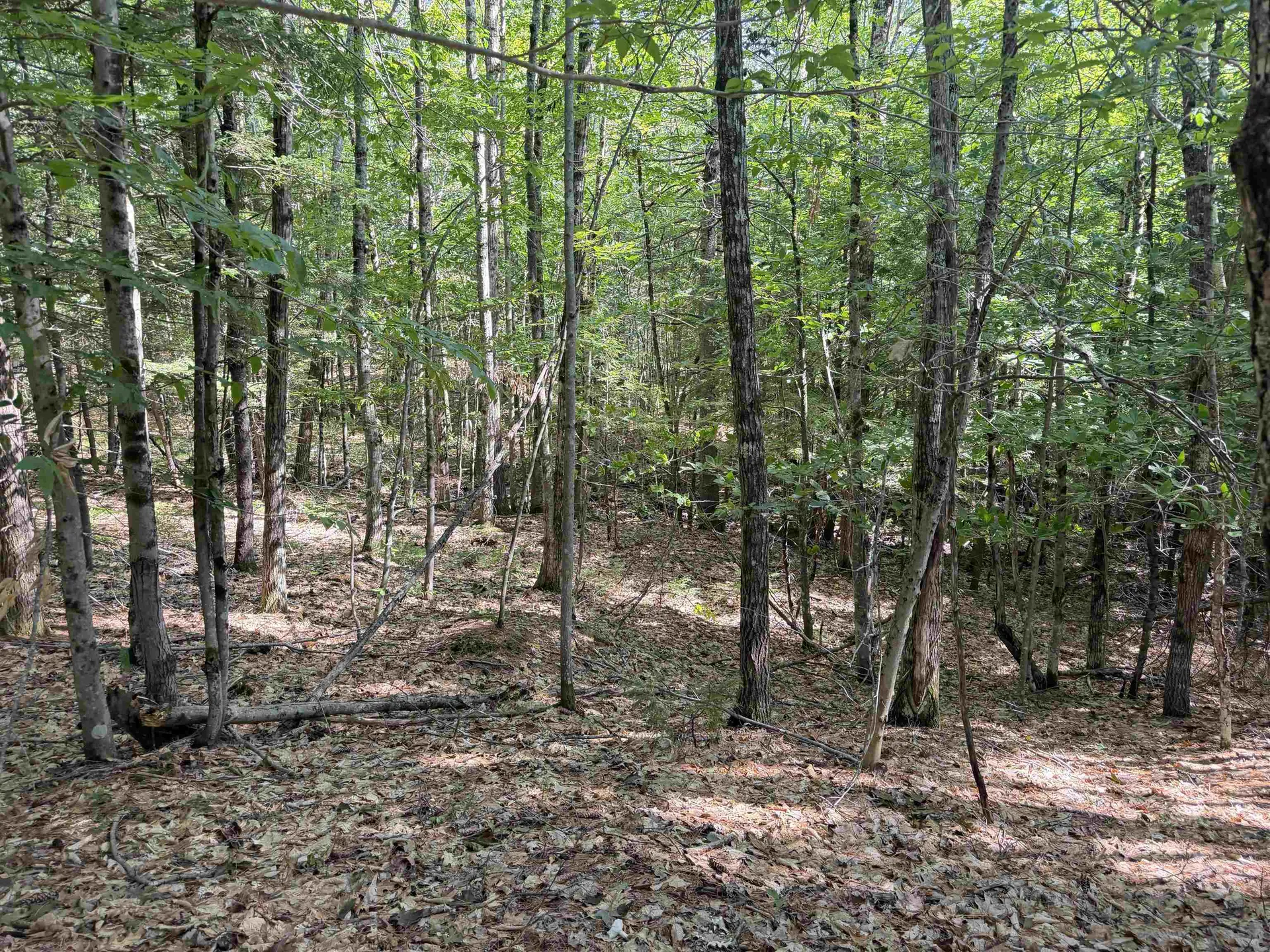 000 Alden Washburn Drive Tamworth NH 03886