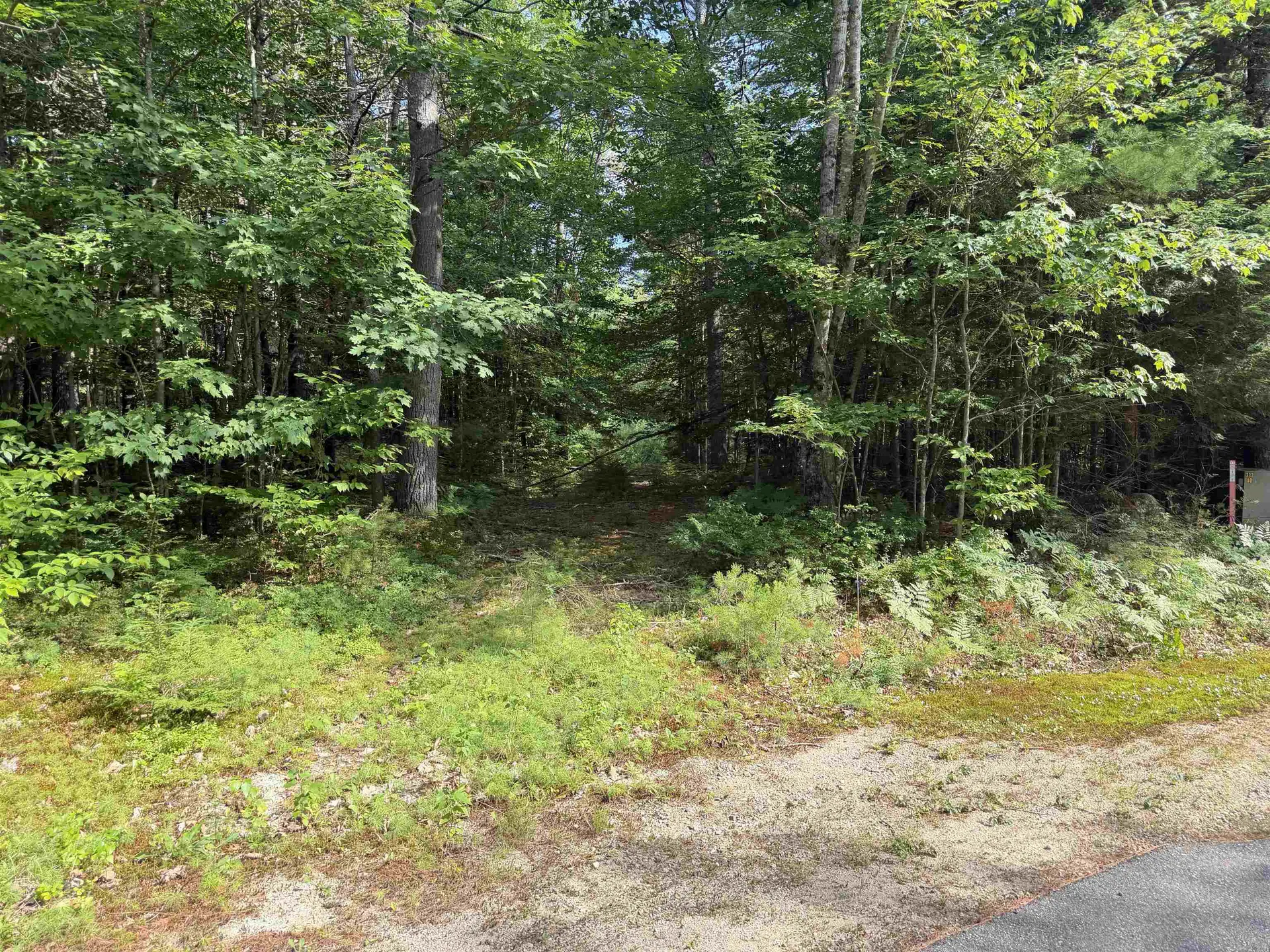 000 Alden Washburn Drive Tamworth NH 03886