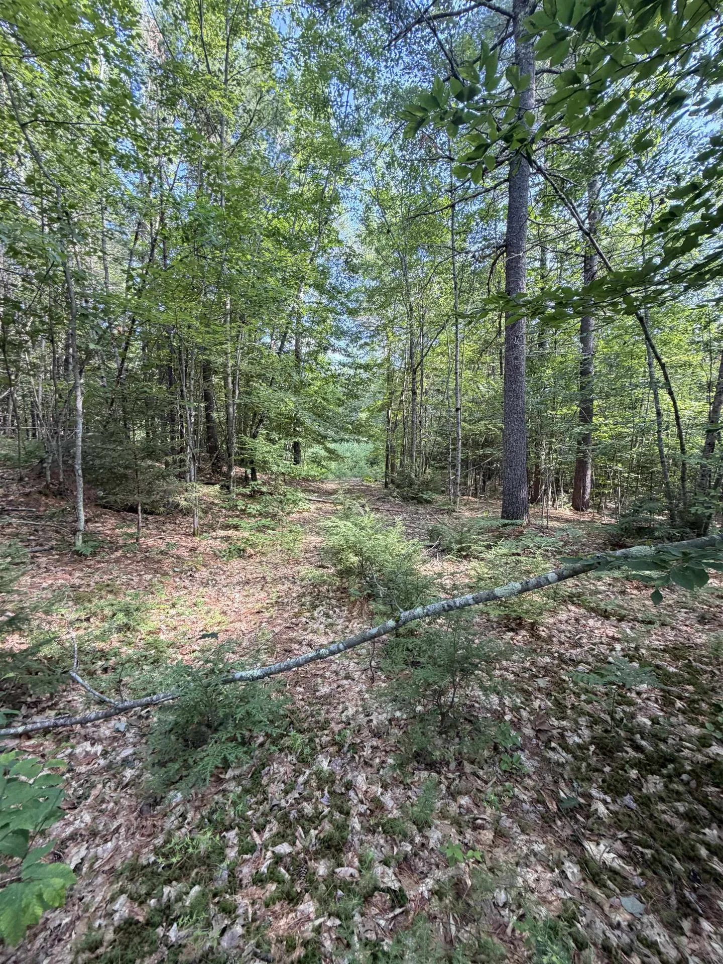 000 Alden Washburn Drive Tamworth NH 03886