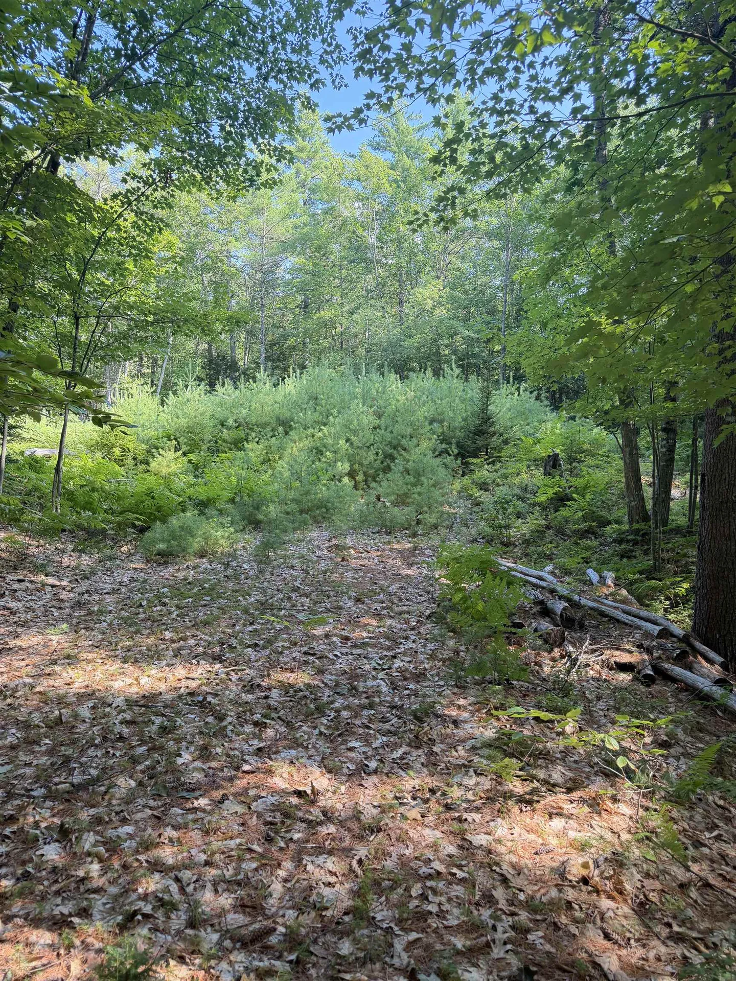 000 Alden Washburn Drive Tamworth NH 03886