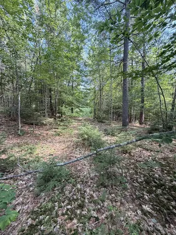 000 Alden Washburn Drive Tamworth NH 03886