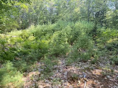 000 Alden Washburn Drive Tamworth NH 03886