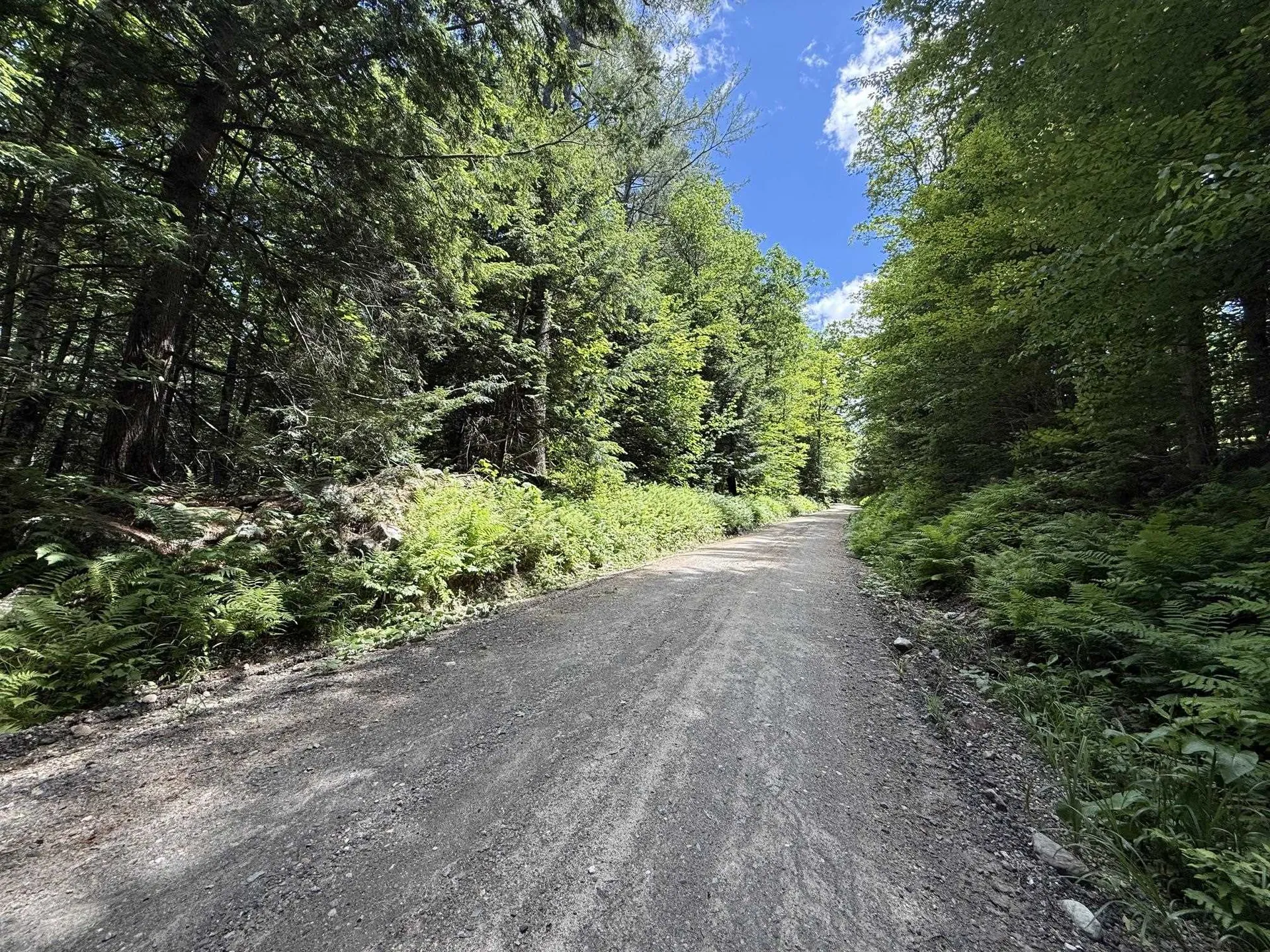 00 Kidder Hill Road Grafton VT 05146