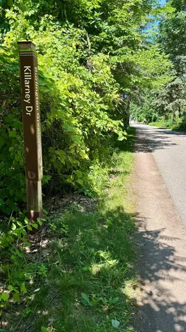 106 Killarney Drive Burlington VT 05408