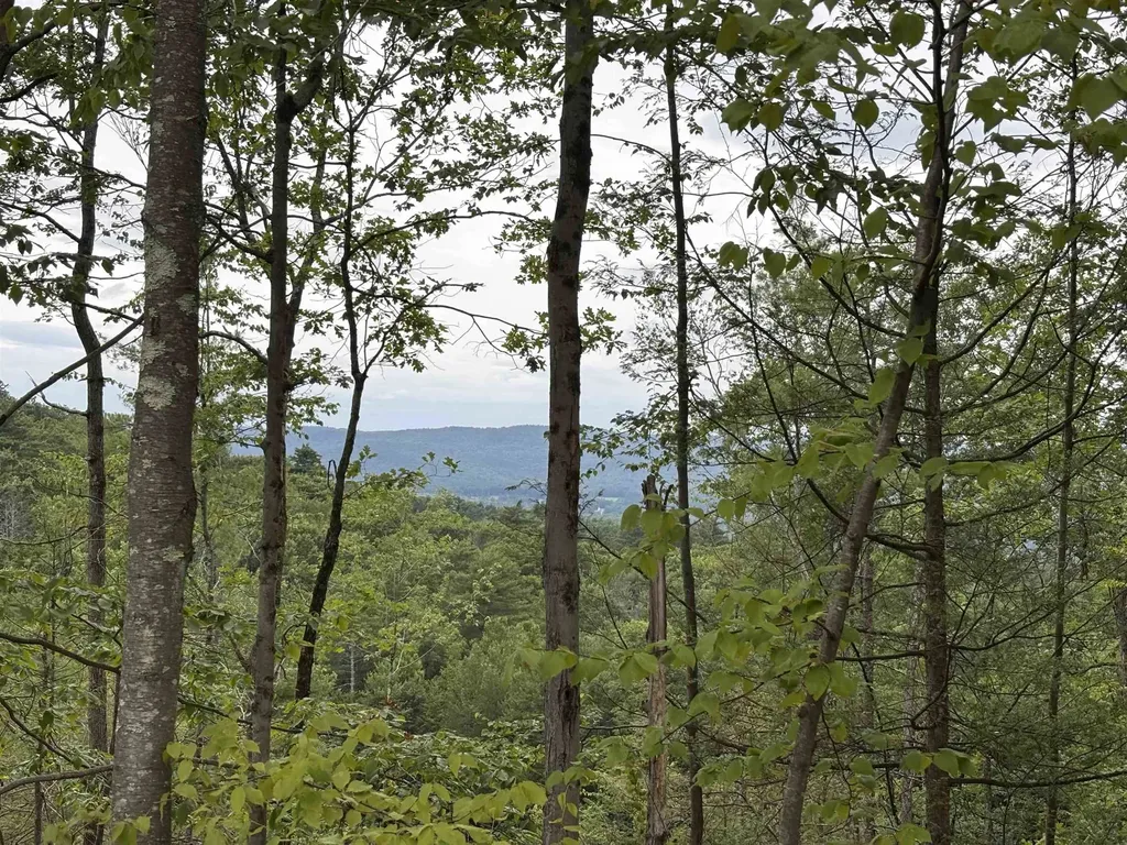 M13 L7 Tower Hill Road Hinsdale NH 03451