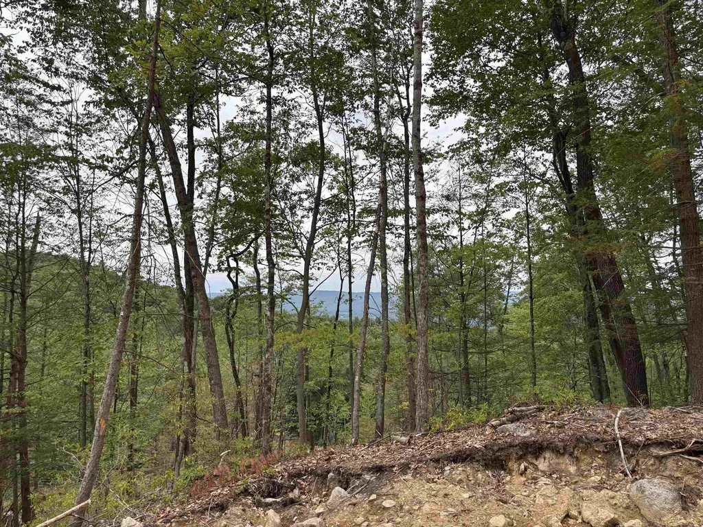 M13 L7 Tower Hill Road Hinsdale NH 03451