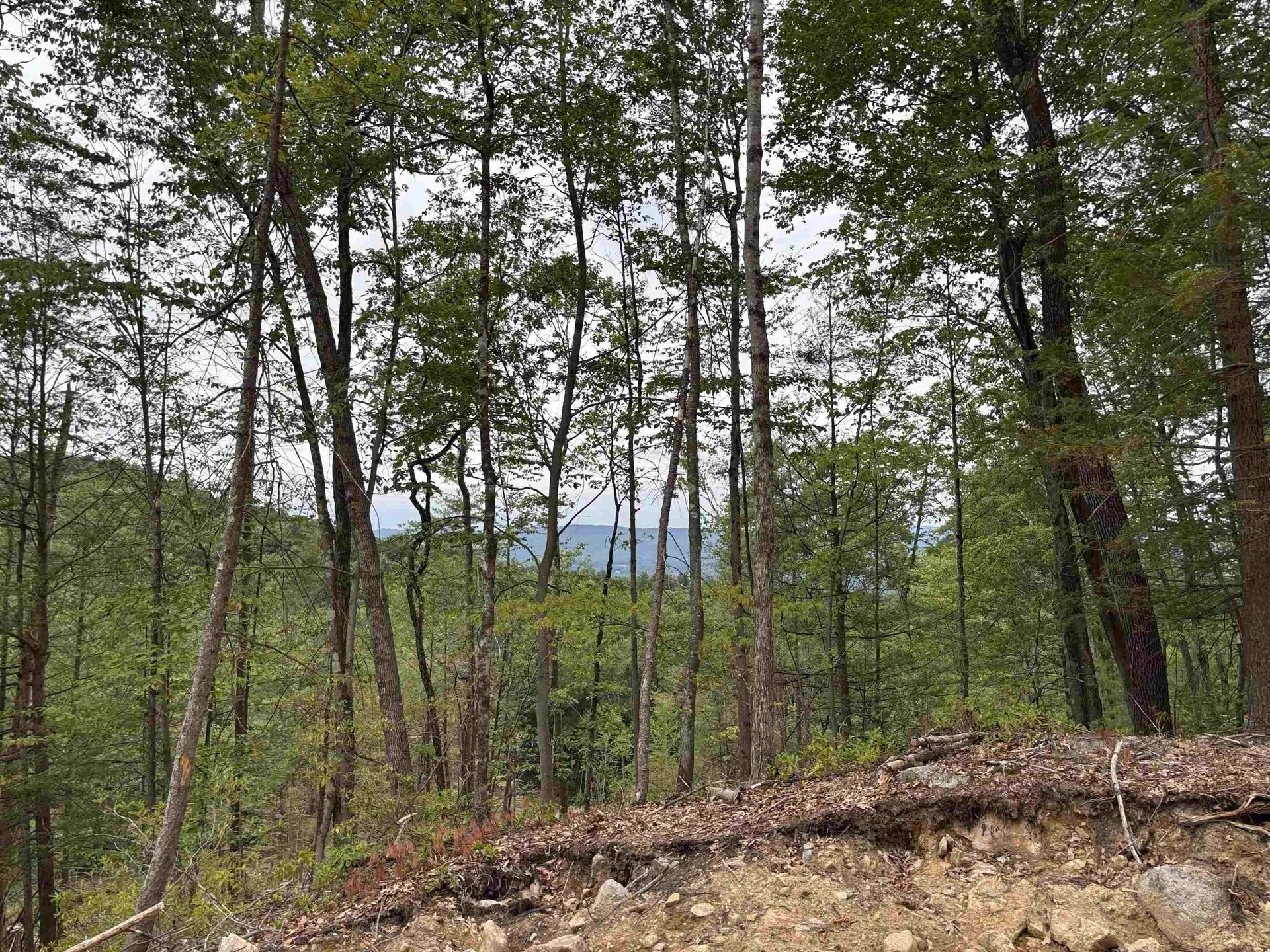 M13 L7 Tower Hill Road Hinsdale NH 03451