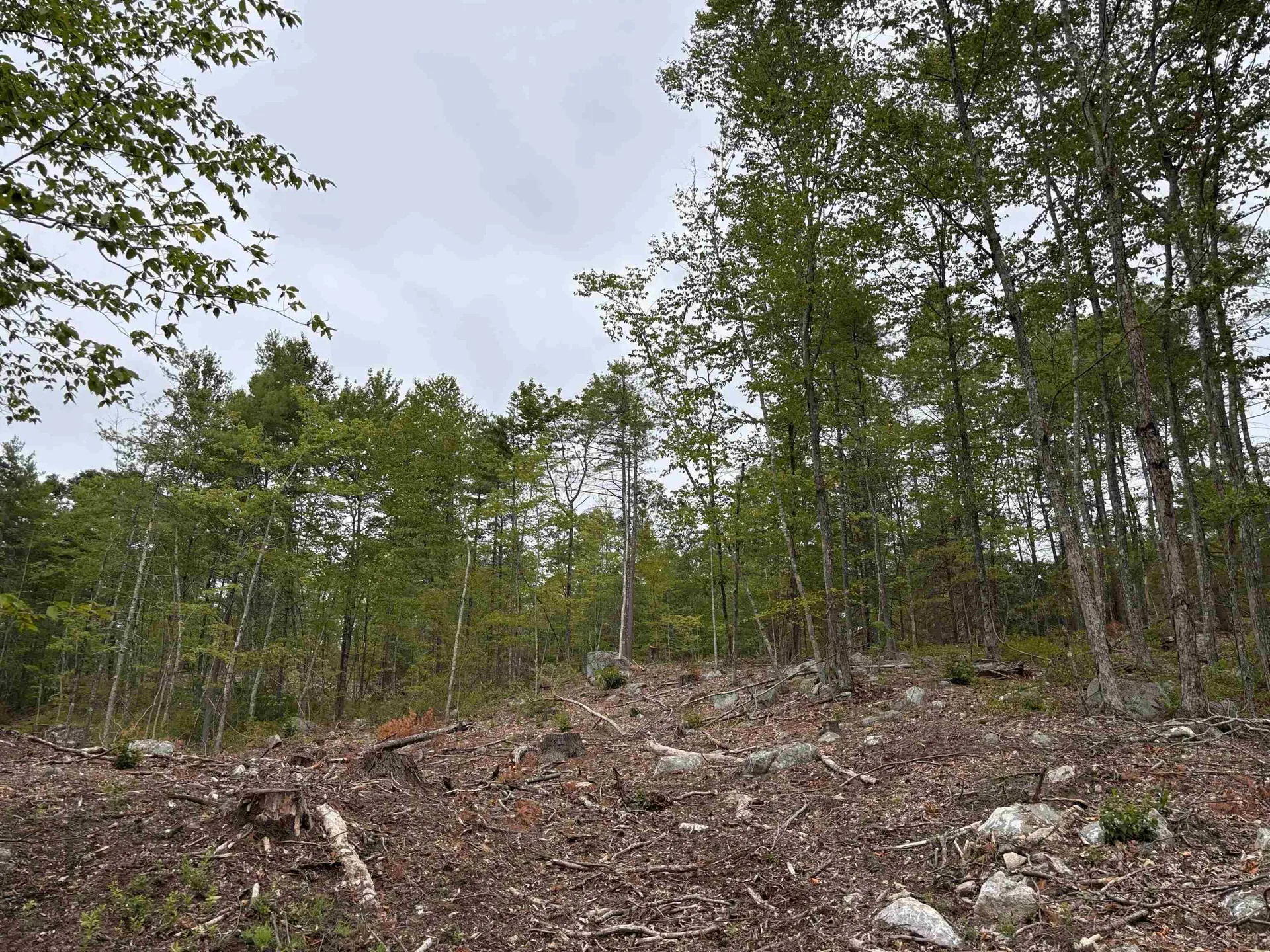 M13 L7 Tower Hill Road Hinsdale NH 03451