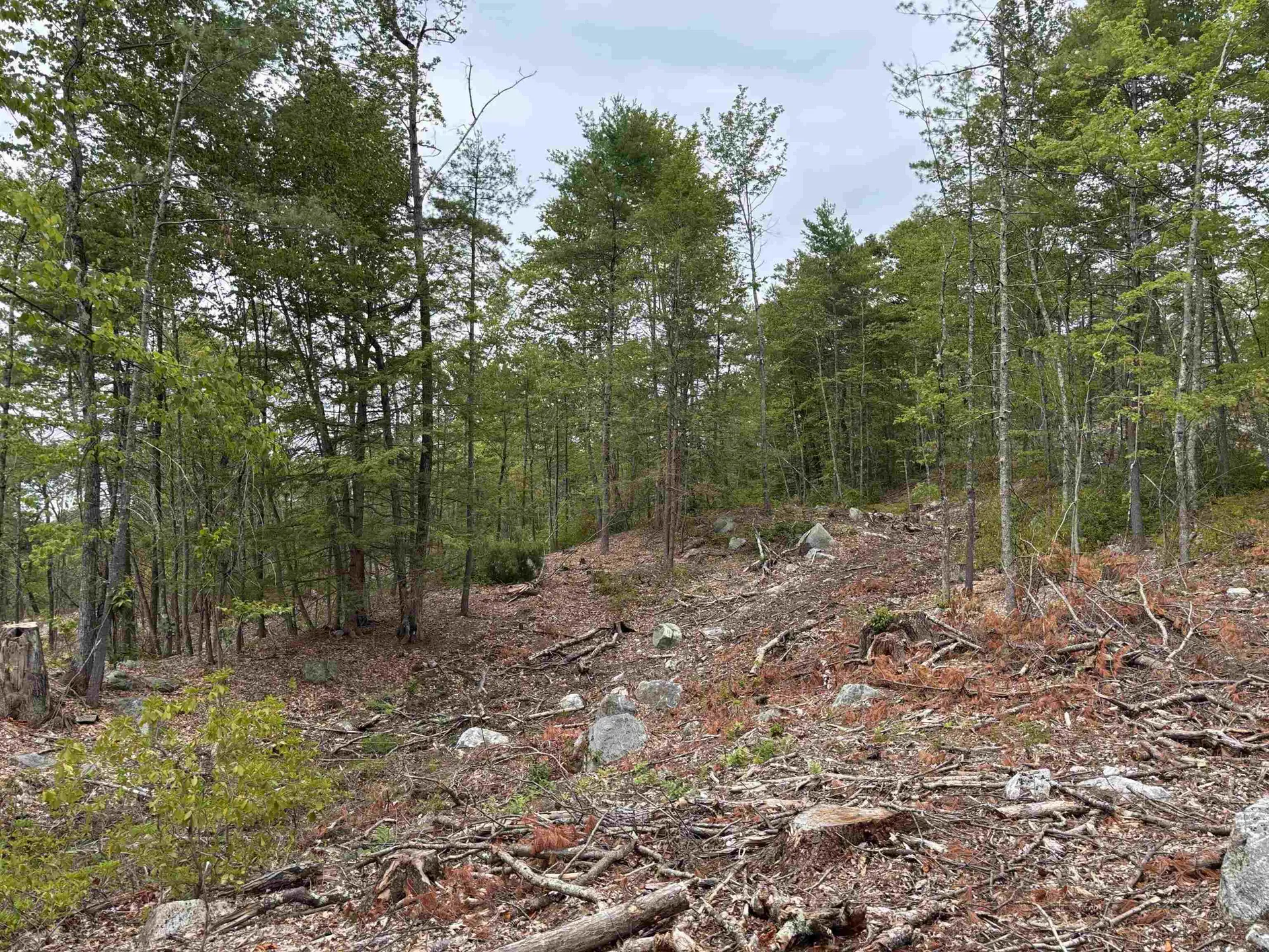M13 L7 Tower Hill Road Hinsdale NH 03451