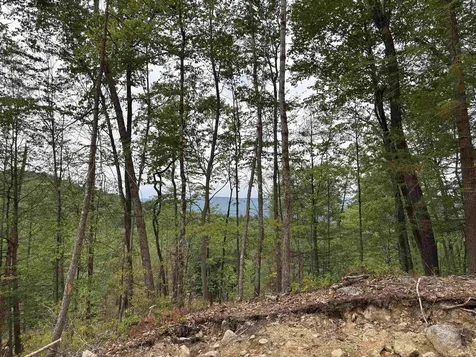 M13 L7 Tower Hill Road Hinsdale NH 03451