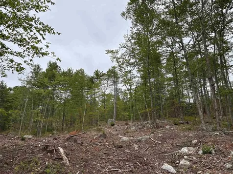 M13 L7 Tower Hill Road Hinsdale NH 03451