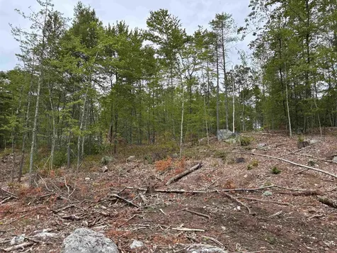 M13 L7 Tower Hill Road Hinsdale NH 03451
