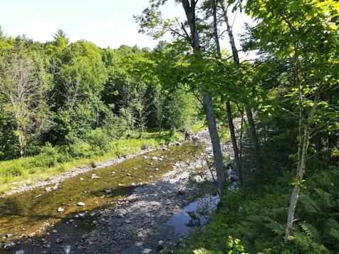 2141 Vt Route 16 Hardwick VT 05843