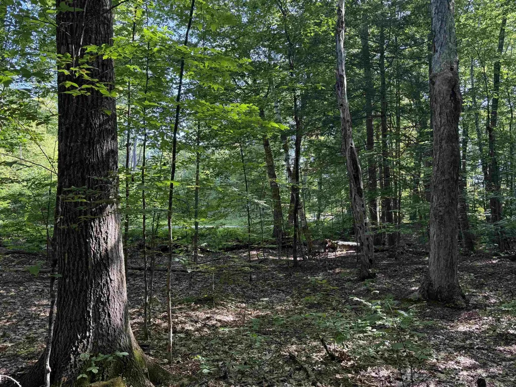 0 Stickney Brook Road Dummerston VT 05301
