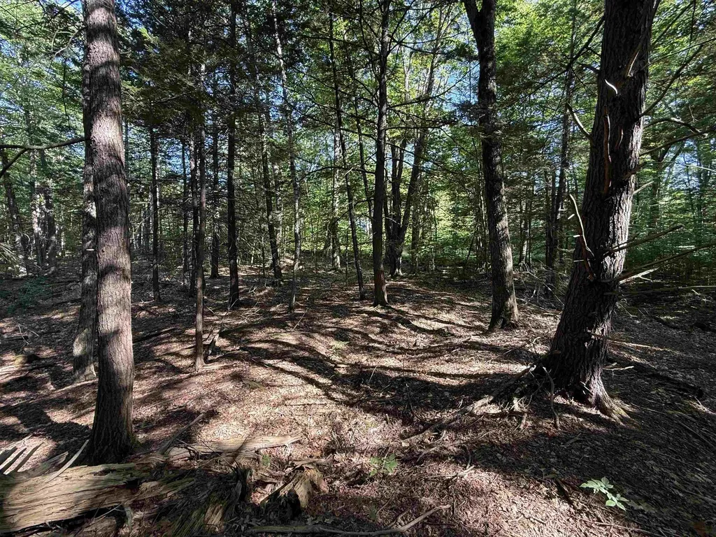 0 Stickney Brook Road Dummerston VT 05301