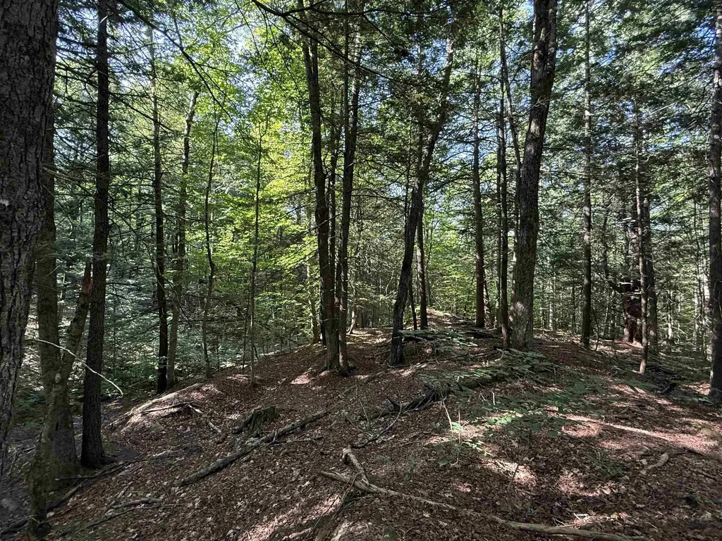 0 Stickney Brook Road Dummerston VT 05301