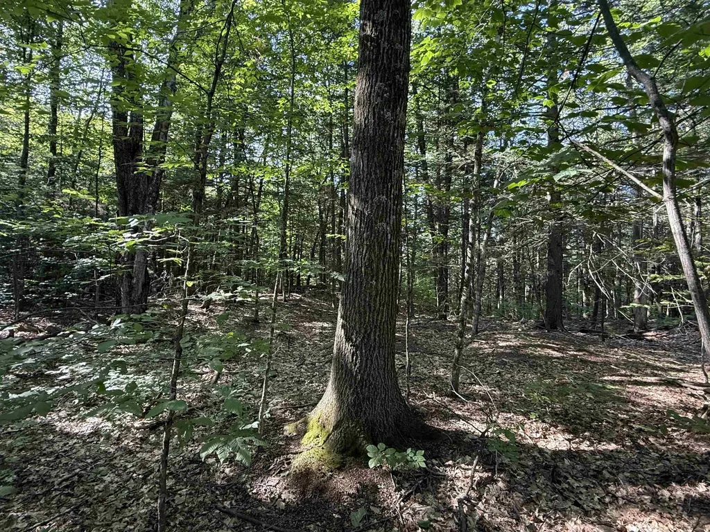 0 Stickney Brook Road Dummerston VT 05301