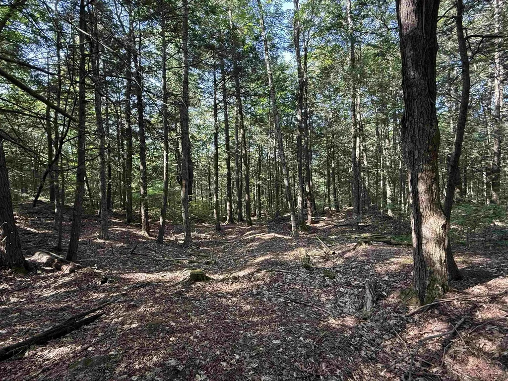 0 Stickney Brook Road Dummerston VT 05301