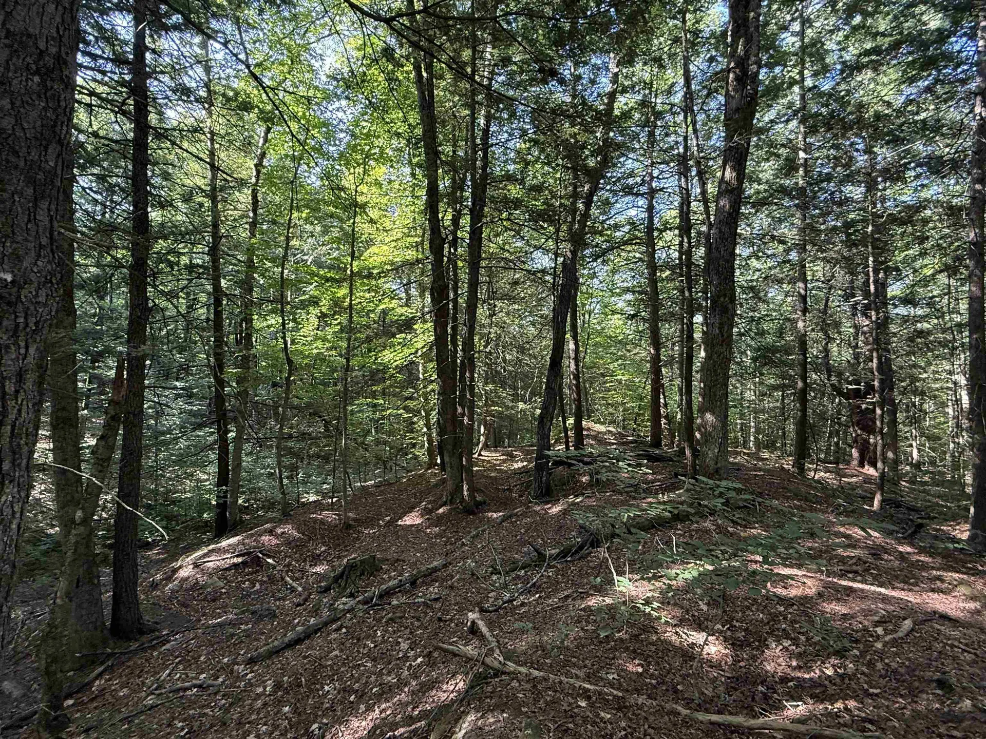 0 Stickney Brook Road Dummerston VT 05301