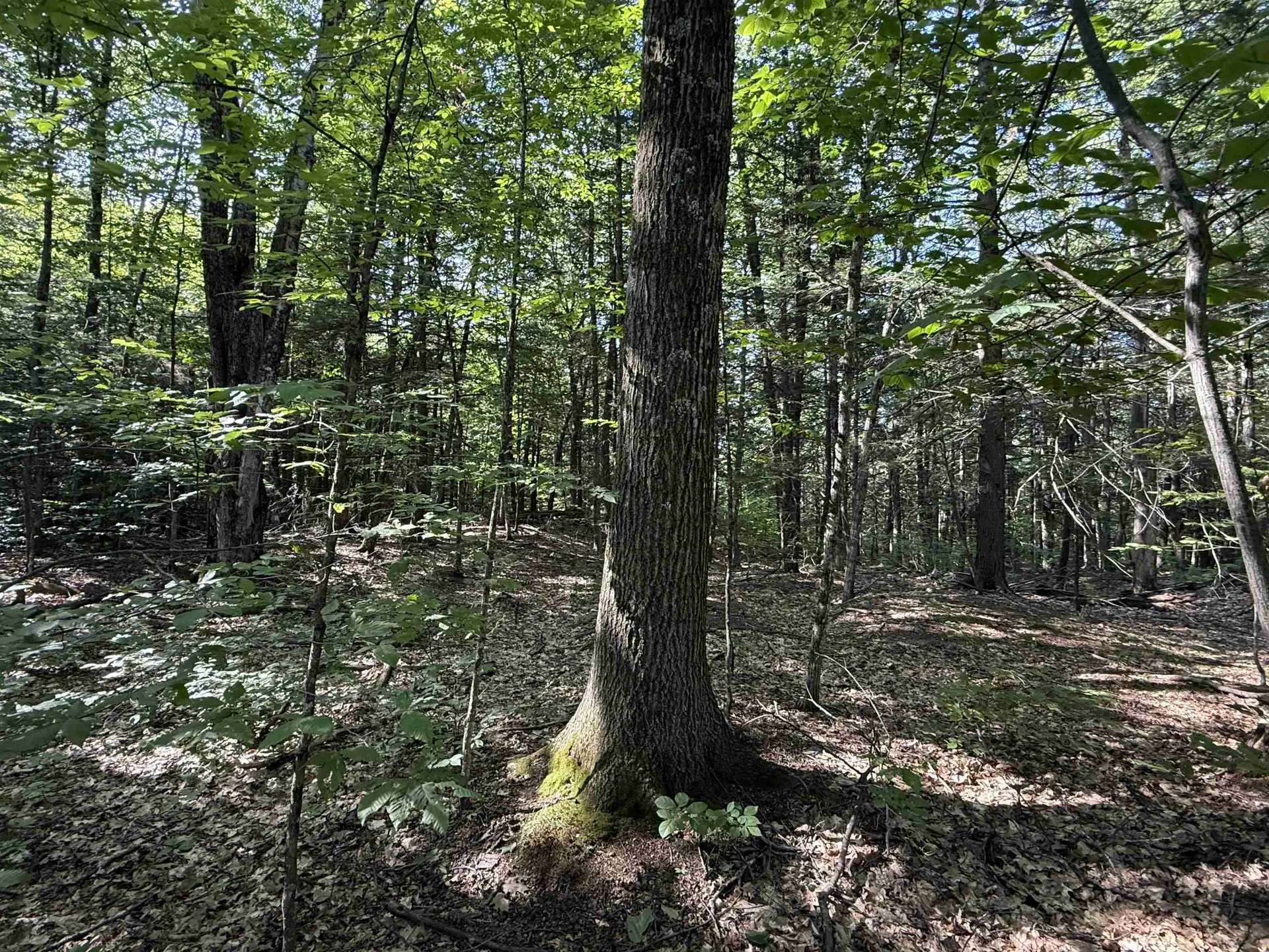 0 Stickney Brook Road Dummerston VT 05301