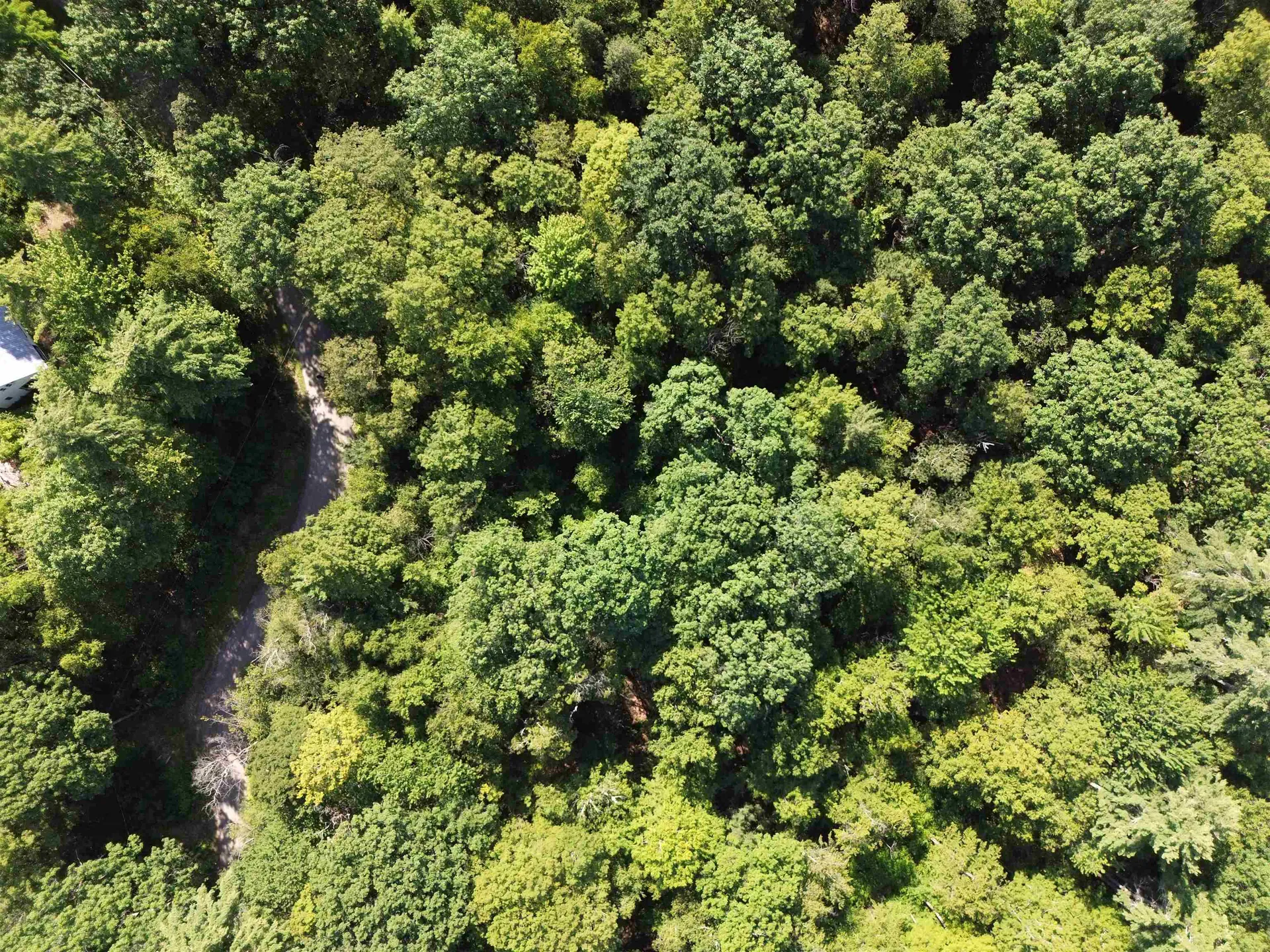 0 Stickney Brook Road Dummerston VT 05301