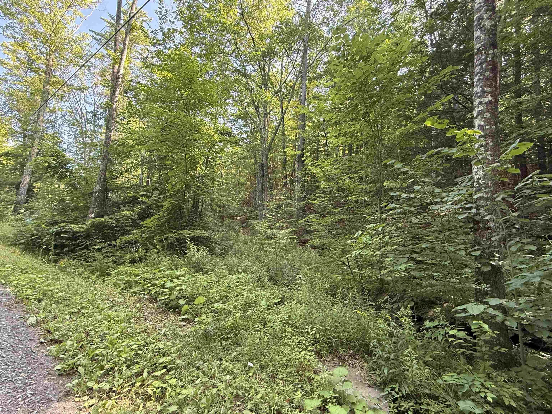 0 Stickney Brook Road Dummerston VT 05301