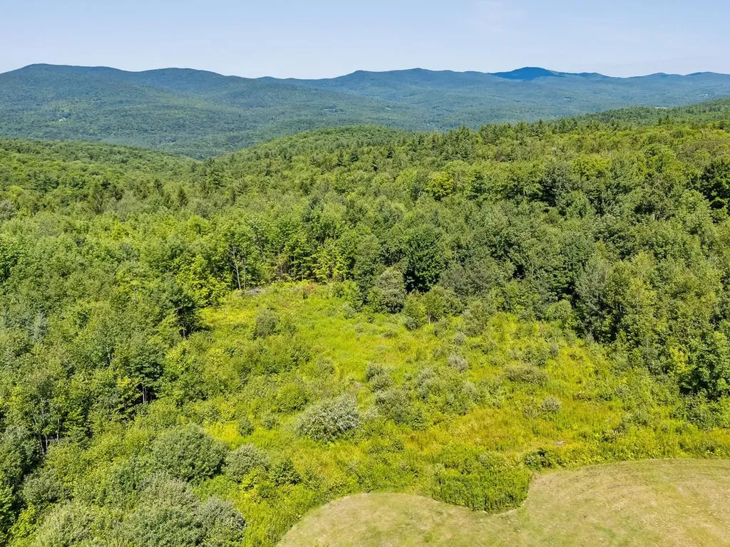 1290 Beaver Meadow Road Roxbury VT 05669