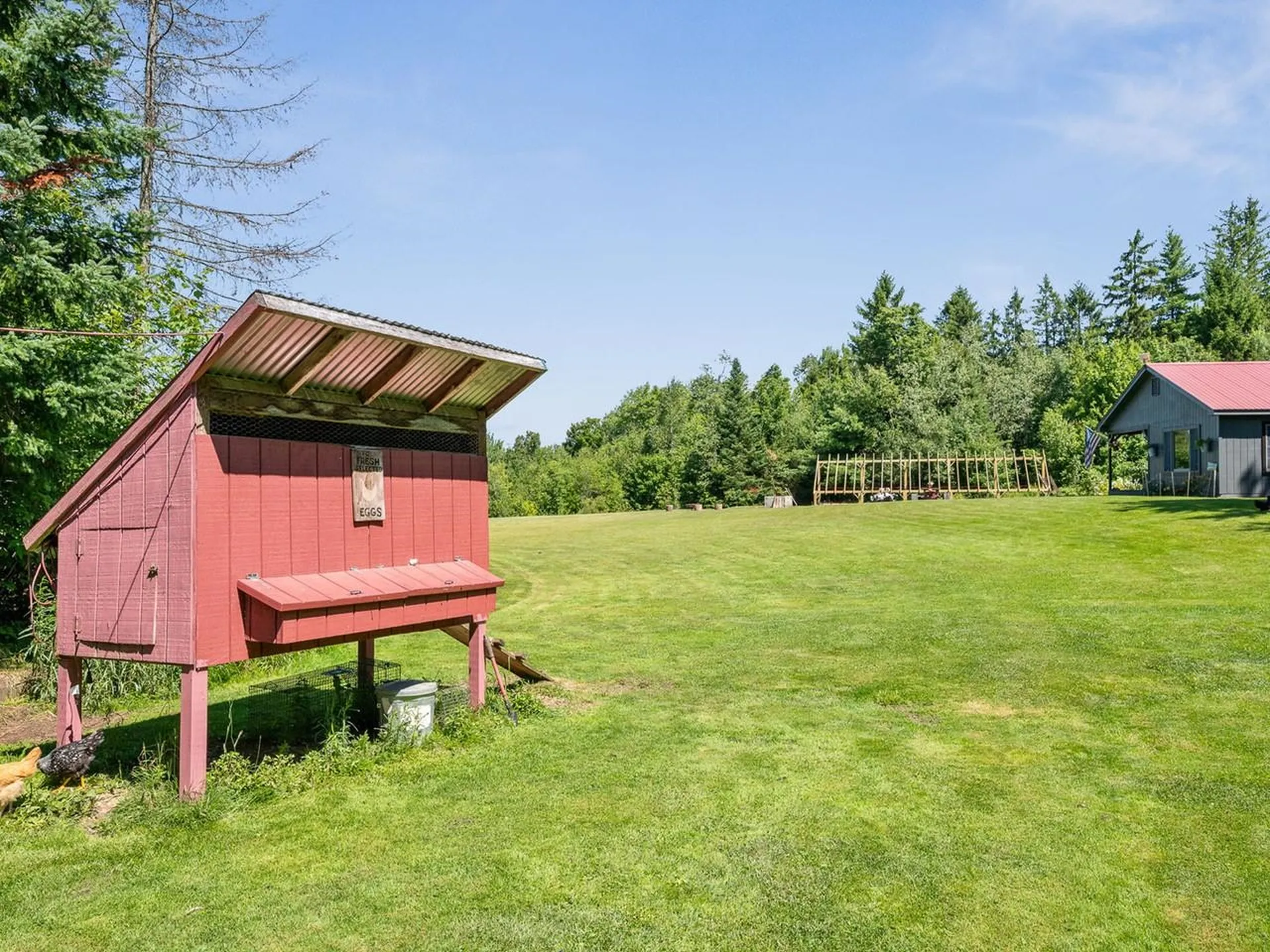 1290 Beaver Meadow Road Roxbury VT 05669