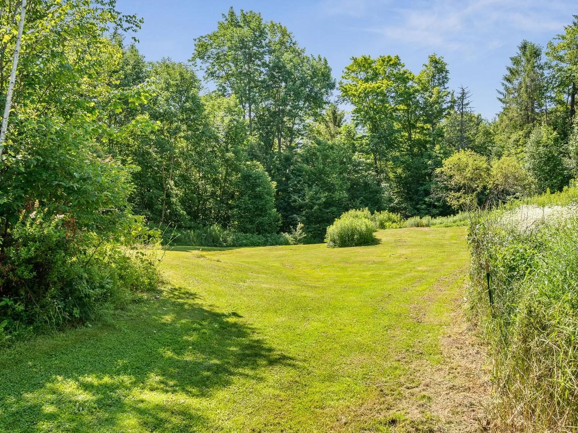 1290 Beaver Meadow Road Roxbury VT 05669