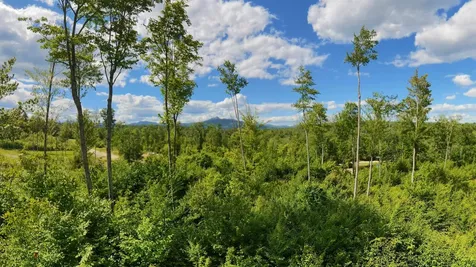 Lot 6 Whipples Way Tamworth NH 03817