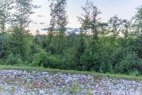 Lot 5 Whipples Way Tamworth NH 03817