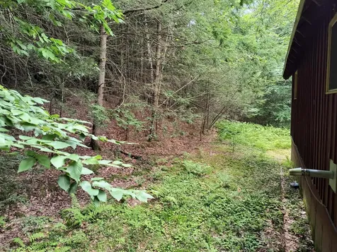 55 Hallwood Drive Surry NH 03431