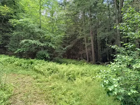 55 Hallwood Drive Surry NH 03431