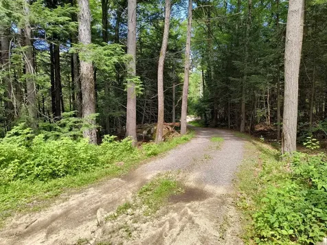55 Hallwood Drive Surry NH 03431