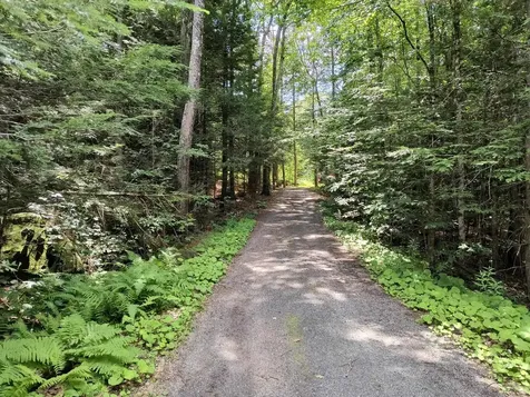55 Hallwood Drive Surry NH 03431