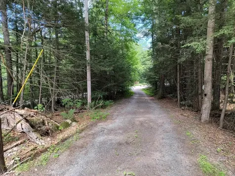 55 Hallwood Drive Surry NH 03431