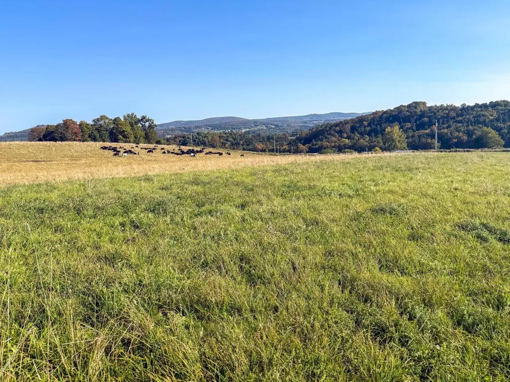 19 Upper Usle Road Barre Town VT 05641