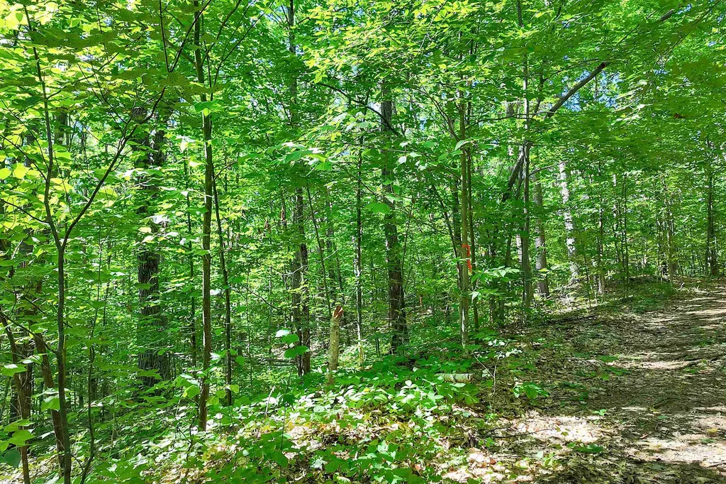 0 Country Drive Conway NH 03813